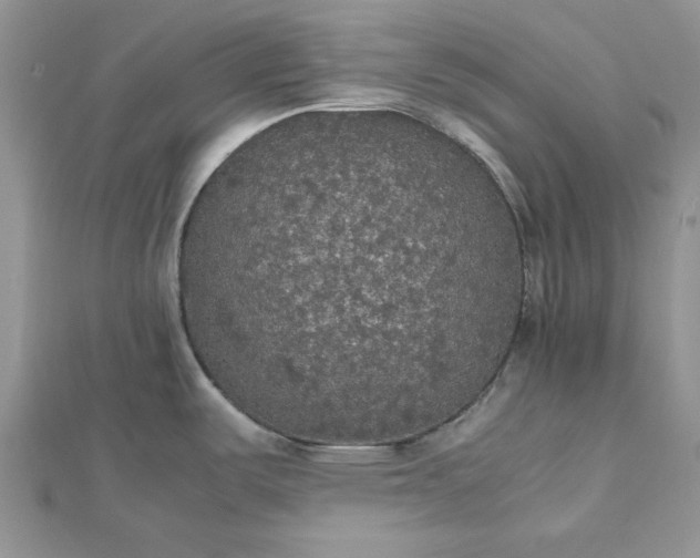 X0000112471487200908311339