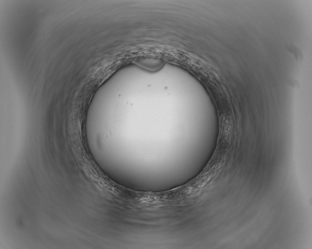 X0000112471489200908311339