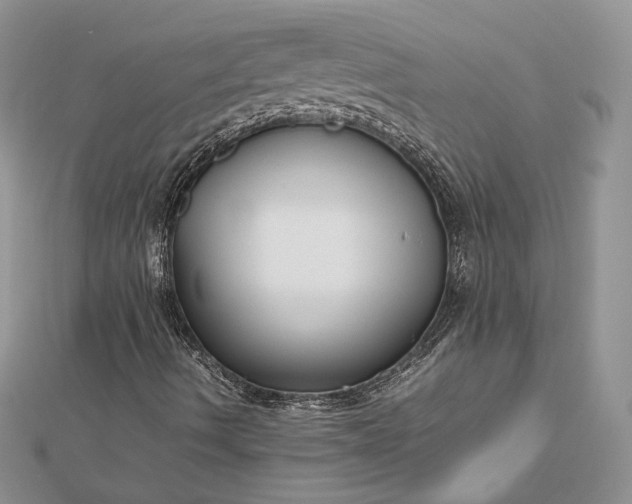 X0000112471490200908311339