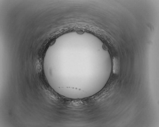 X0000112471491200908311339