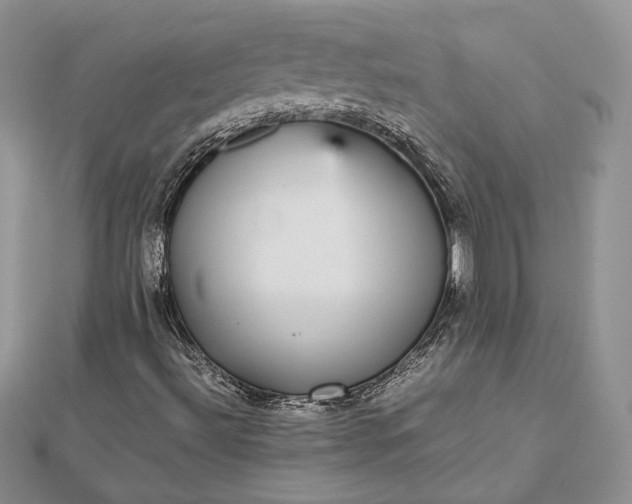 X0000112471492200908311339