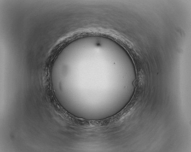 X0000112471494200908311339