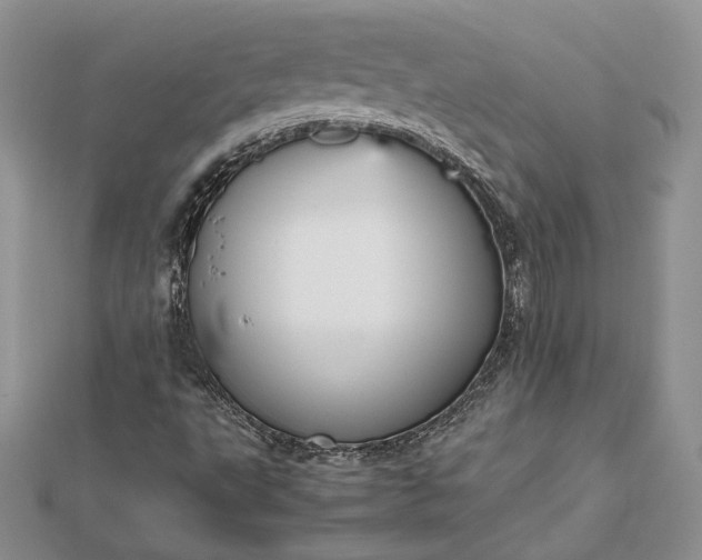 X0000112471495200908311339