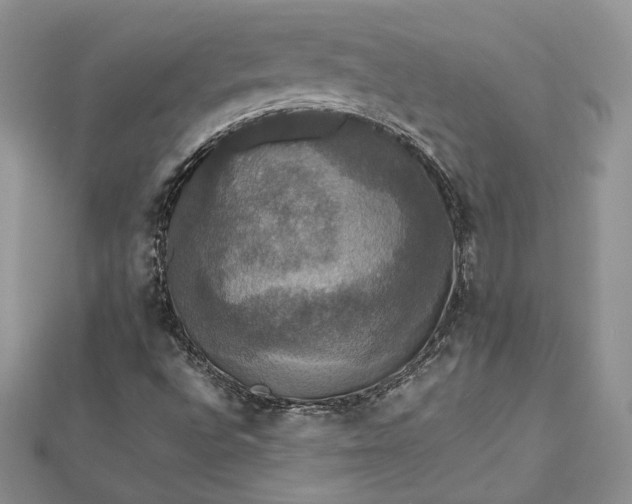 X0000112471496200908311339