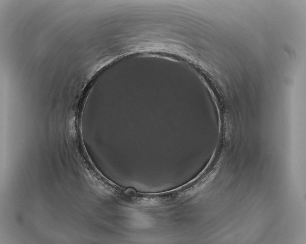 X0000112471497200908311339