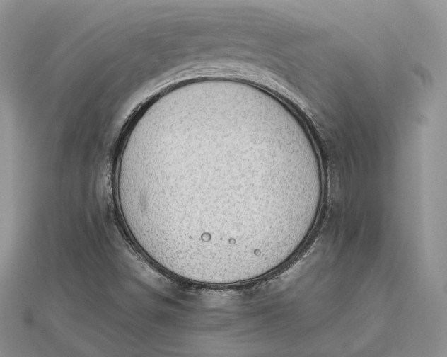 X0000112471498200908311339