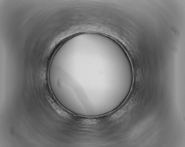 X0000112471499200908311339