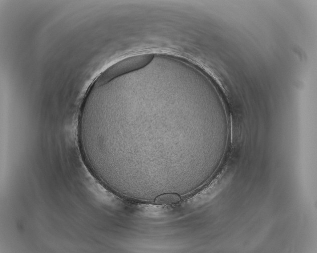 X0000112471500200908311339