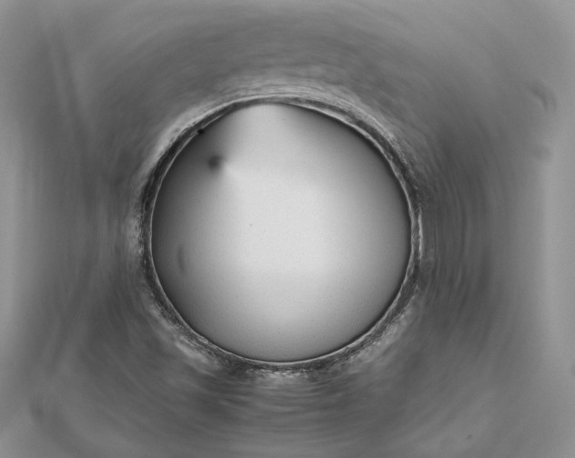 X0000112471501200908311339