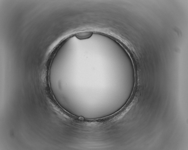 X0000112471502200908311339