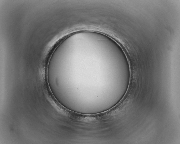 X0000112471503200908311339