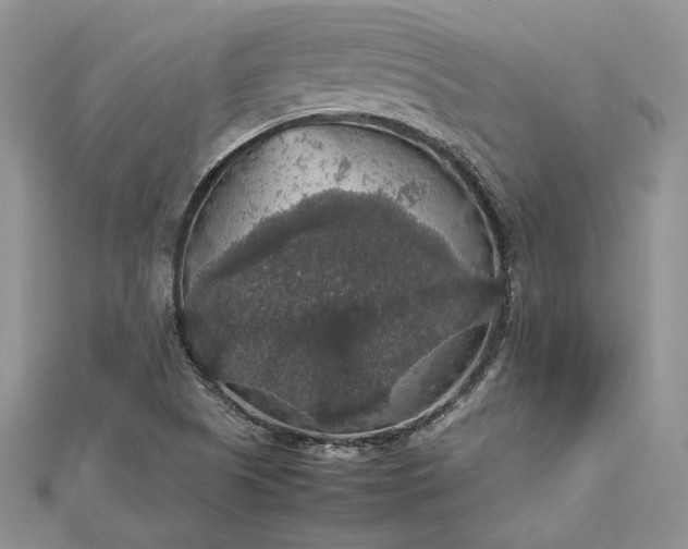 X0000112471505200908311339