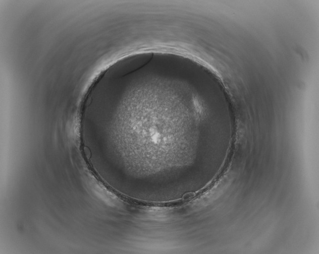 X0000112471506200908311339