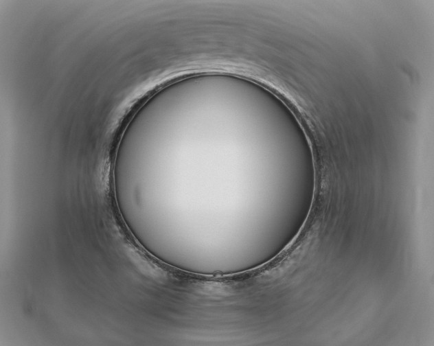 X0000112471507200908311339