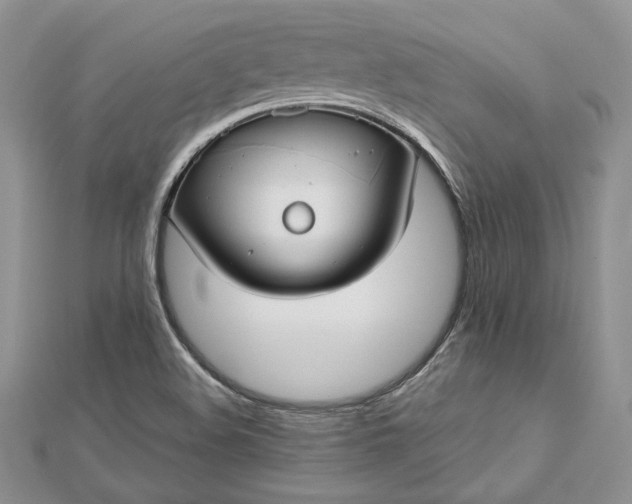 X0000112471508200908311339