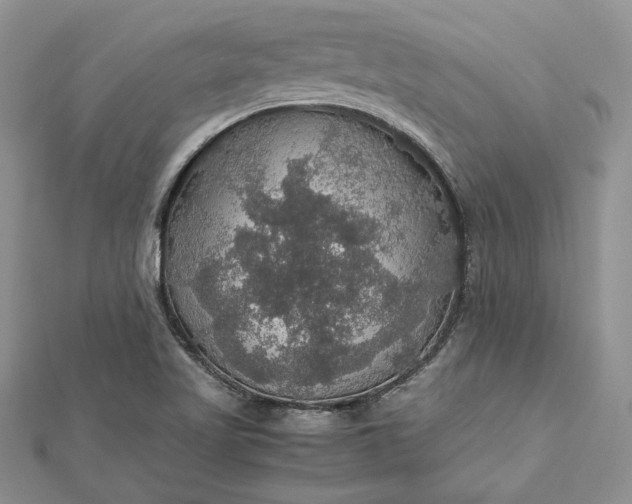 X0000112471509200908311339