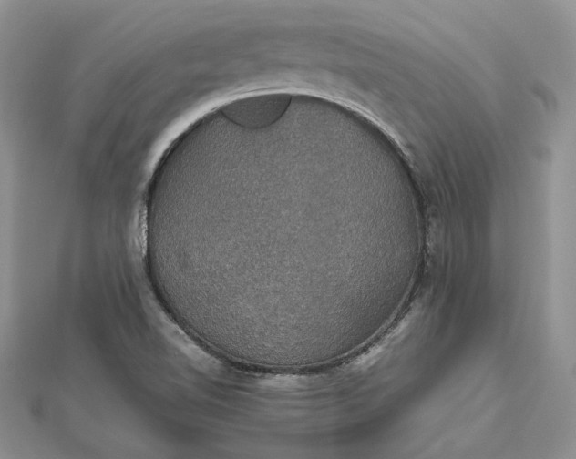 X0000112471510200908311339