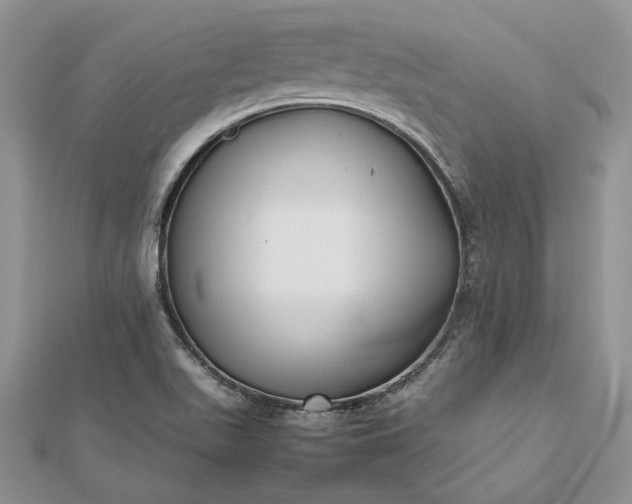 X0000112471511200908311339