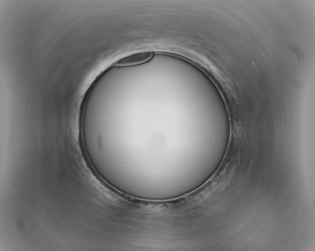 X0000112471512200908311339