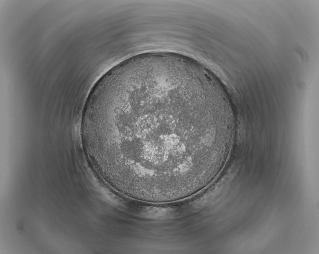 X0000112471513200908311339