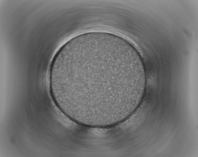 X0000112471514200908311339