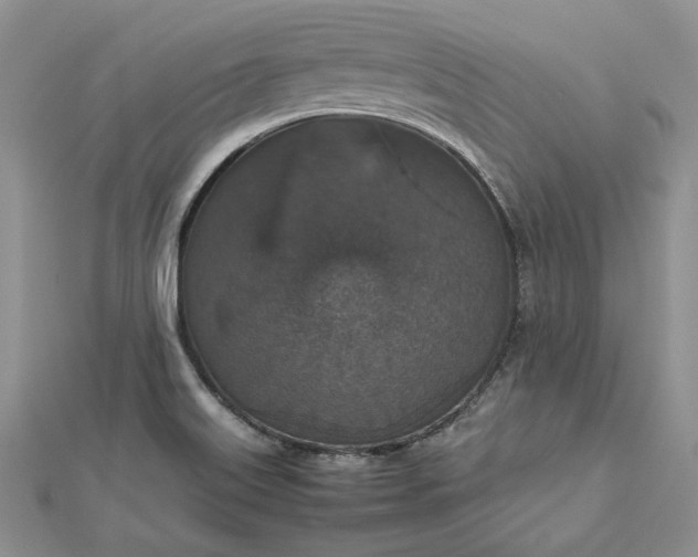 X0000112471515200908311339