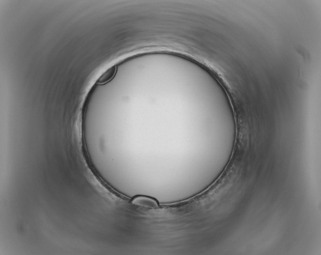 X0000112471516200908311339