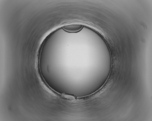 X0000112471518200908311339