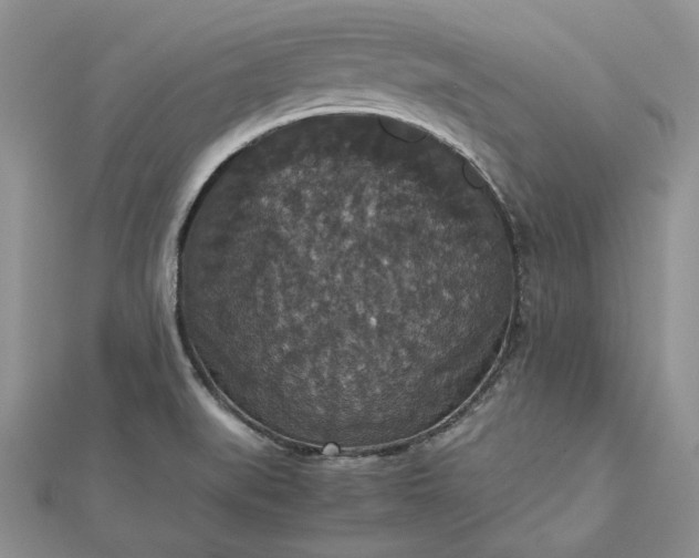 X0000112471519200908311339