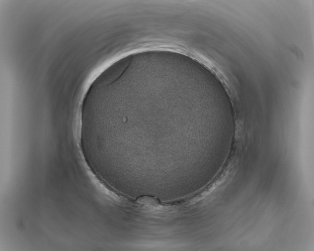 X0000112471520200908311339