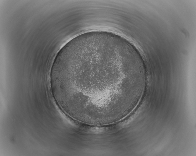 X0000112471521200908311339