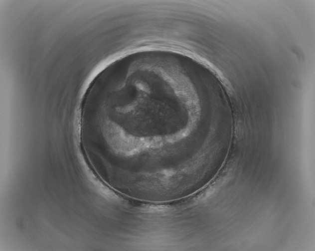 X0000112471522200908311339