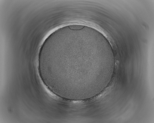 X0000112471523200908311339