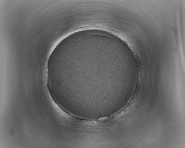 X0000112471524200908311339