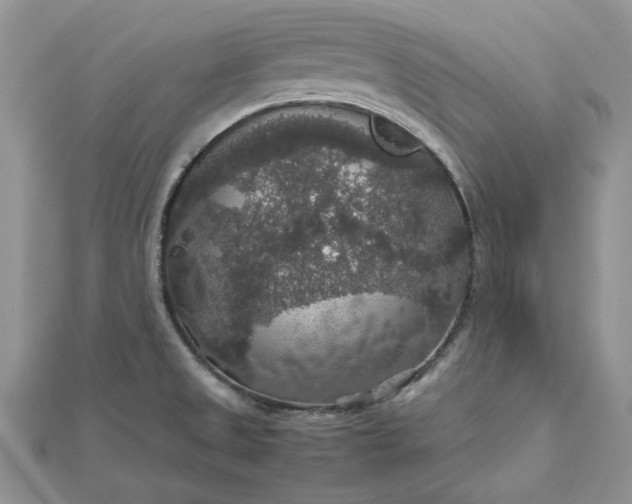 X0000112471525200908311339