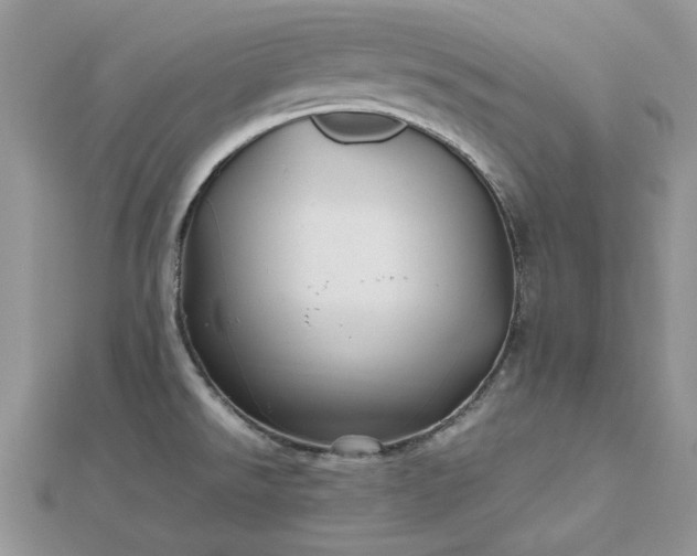 X0000112471526200908311339