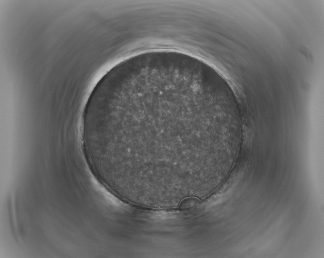 X0000112471527200908311339