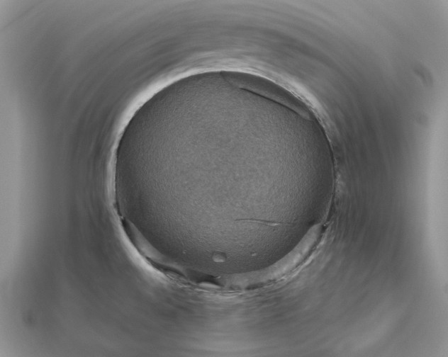 X0000112471528200908311339