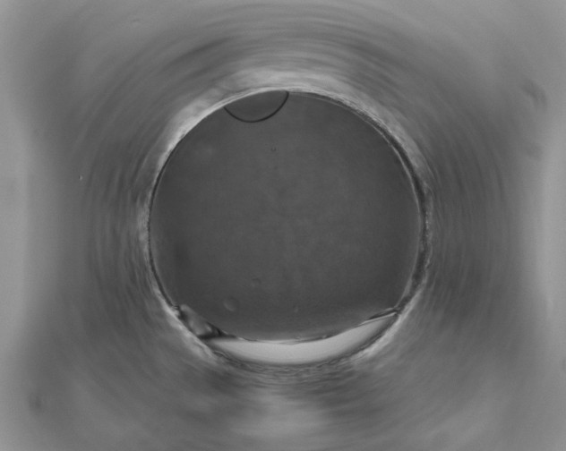 X0000112471529200908311339