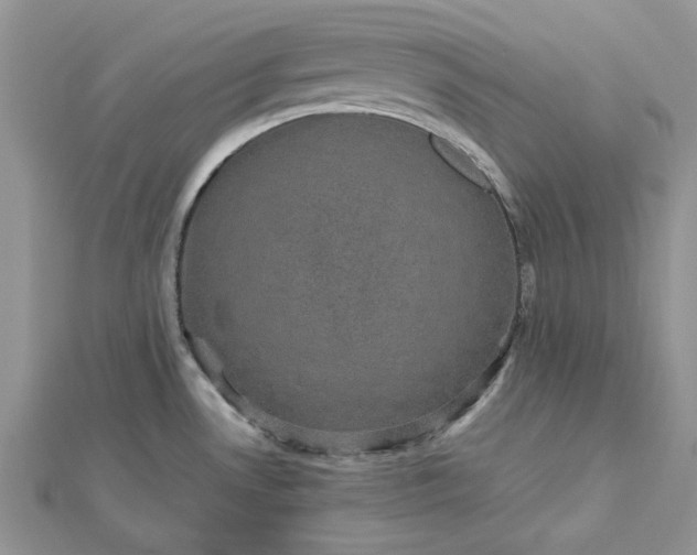 X0000112471530200908311339