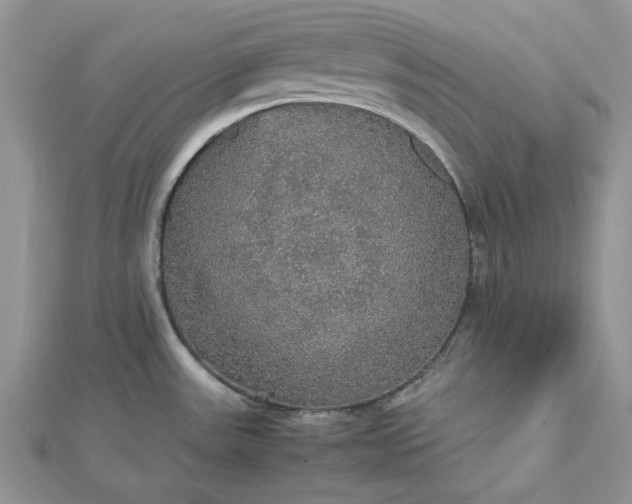 X0000112471531200908311339