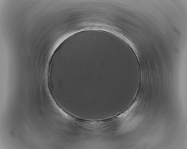 X0000112471533200908311339