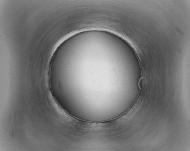 X0000112471534200908311339