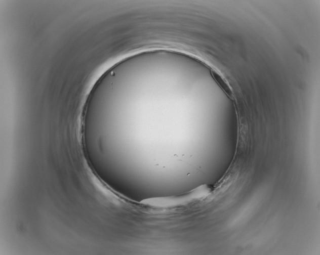 X0000112471535200908311339