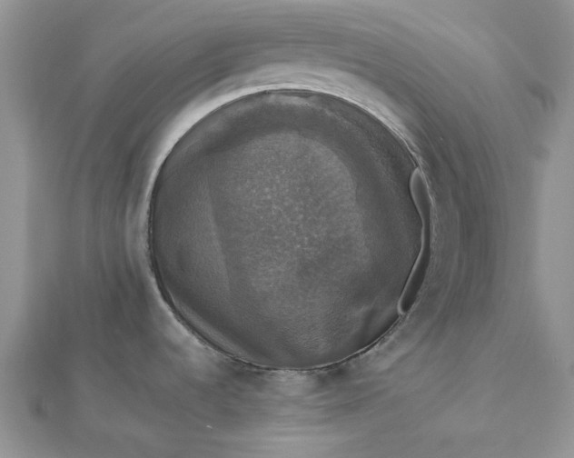 X0000112471536200908311339