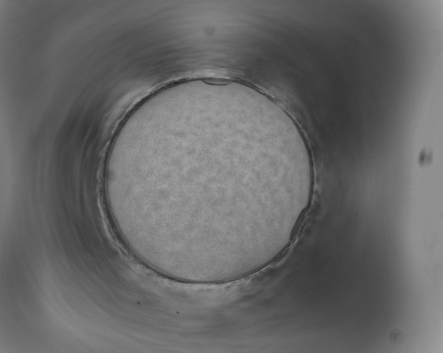 X0000112470001200909071144