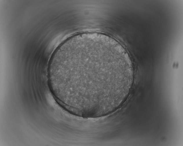 X0000112470002200909071144