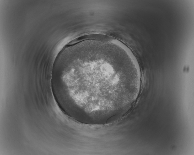 X0000112470003200909071144