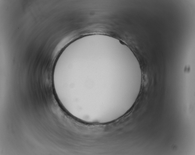 X0000112470004200909071144