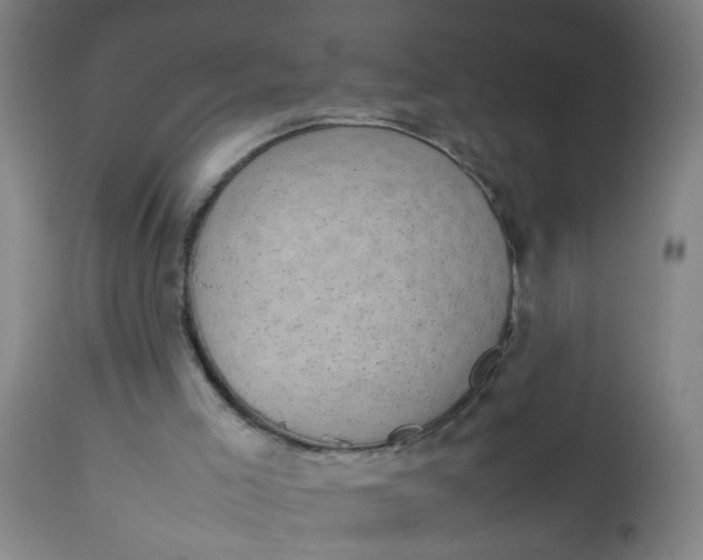 X0000112470005200909071144